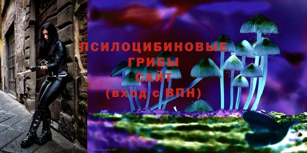 меф Горняк