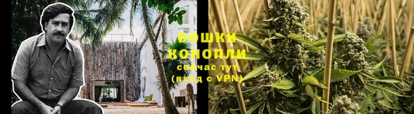 2c-b Горнозаводск
