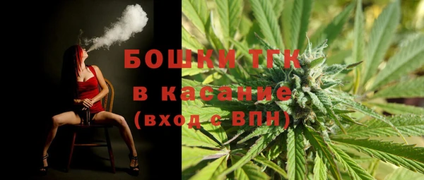 меф Горняк