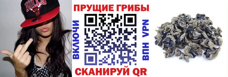 Псилоцибиновые грибы ЛСД Змеиногорск